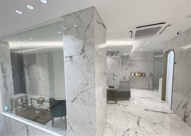 Lobby and glass-walled rooms at Ahn Sung Min Plastic Surgery